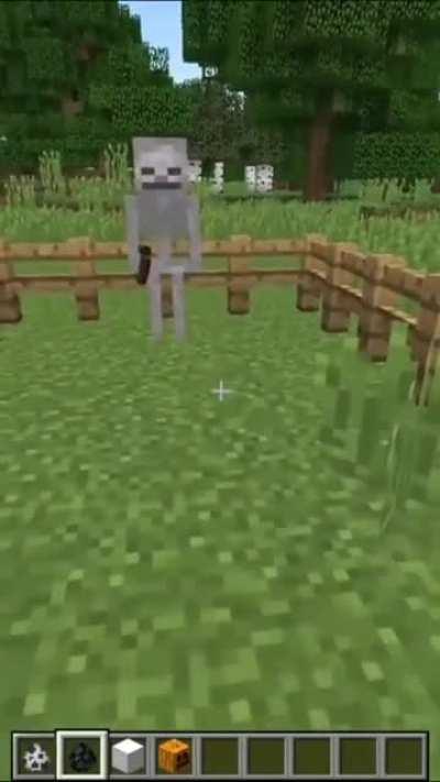 AND PEOPLE STILL SAY MINECRAFT IS NOT REALISTIC👴