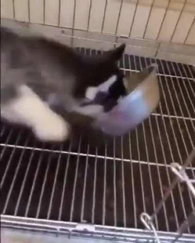 This is the way to eat