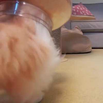 4,039 179 The Duchess was saved