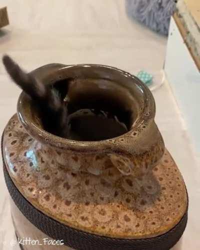 Illegal black magic!