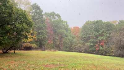 Leaf rainstorm at camp
