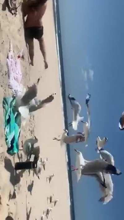 WCGW feeding the cute birds