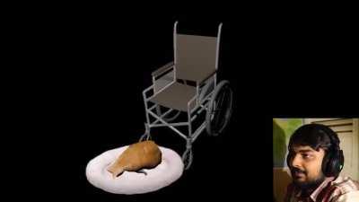 Cat in a wheelchair