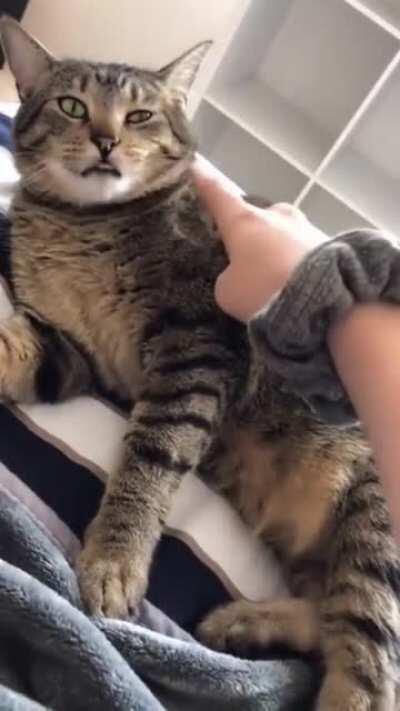 Bohemeowian Rhapsody