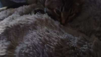 Joey is making some biscuits. Would you like jam with yours?