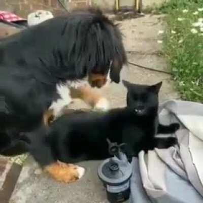 Do not like to touch the outside