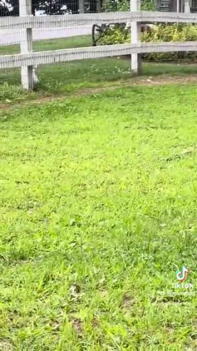 Don’t talk like that to me