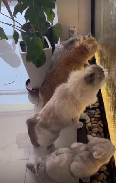 Stay hydrated guys…