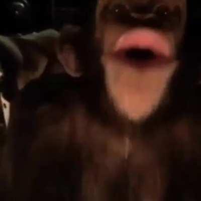 Whose toes are those