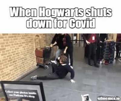 Did not expecto patronum that