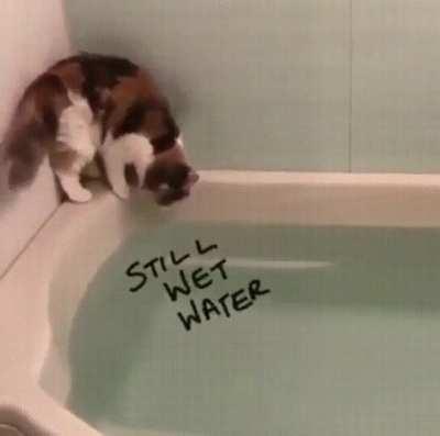 The way to success was