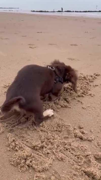 “There’s no stopping me now humam” - Scotti