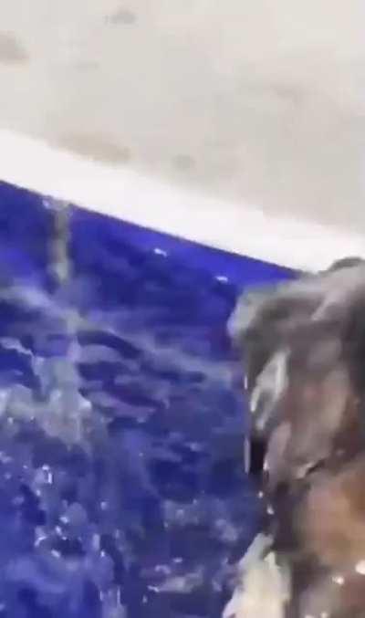 Where did that water even come from?