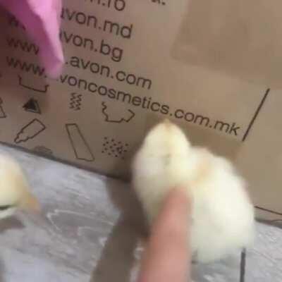 Mi quinto post en reddit