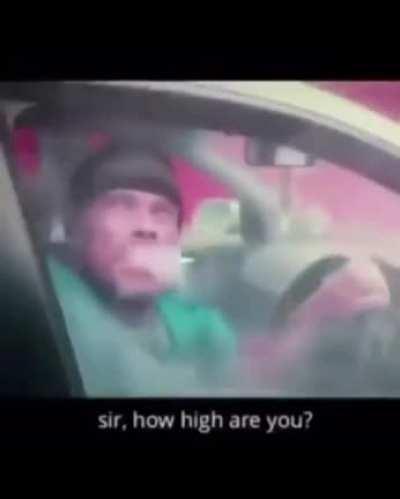 Classic! South Africans after the mayhem.