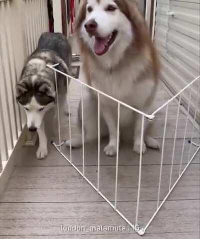 Legend says three went, one never made it back