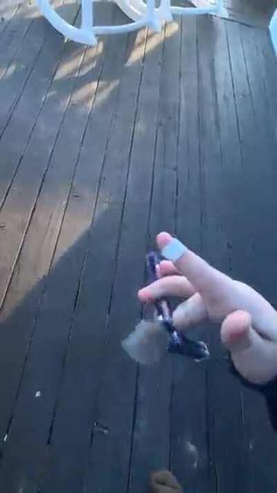 The orca is still sharp lol