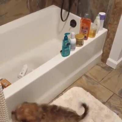 He like the sounds, That's why doing this