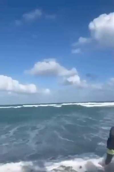 Throwing cremated ashes at the beach. WCGW?