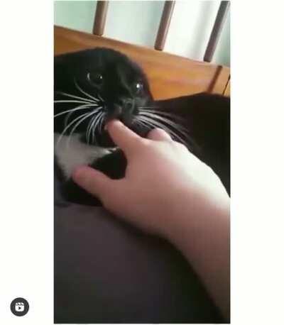 Found the “off” switch