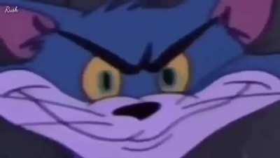 cursed_ CAT WITH CURSED CREAM