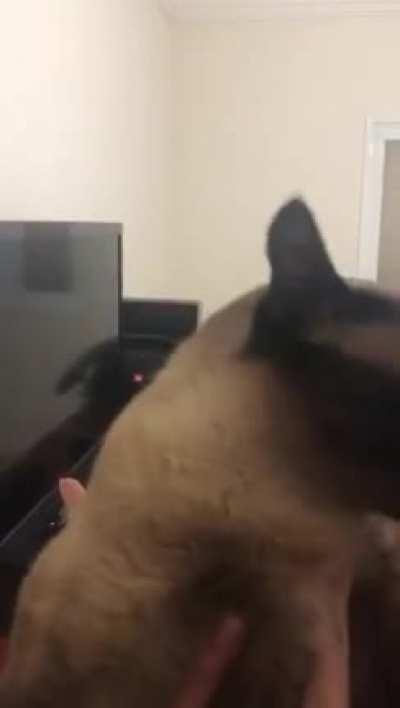 She has a lot of concerns she’d like to voice! (don’t worry, my baby is not being harmed)