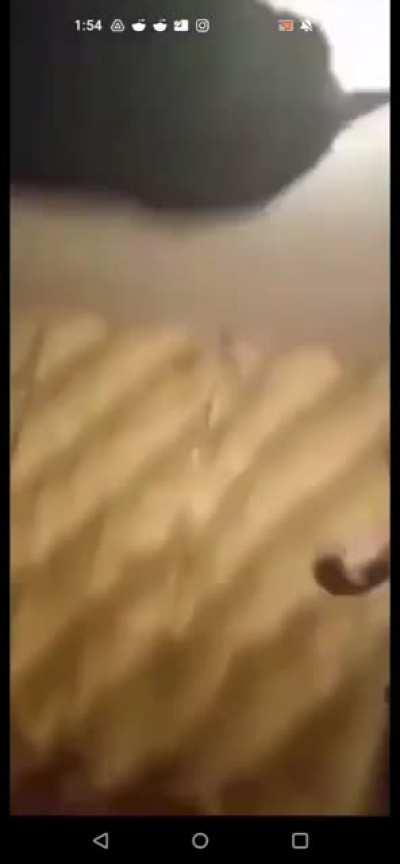 16 year old pedo gets jumped after he raped a baby