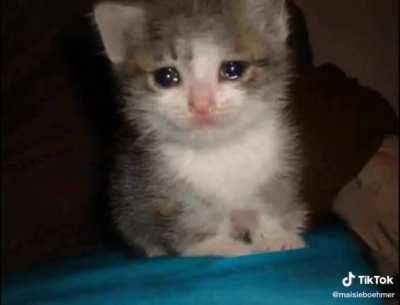 Sorry for the tiktok video 😔