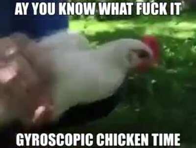 Chicken stabilised (must see)