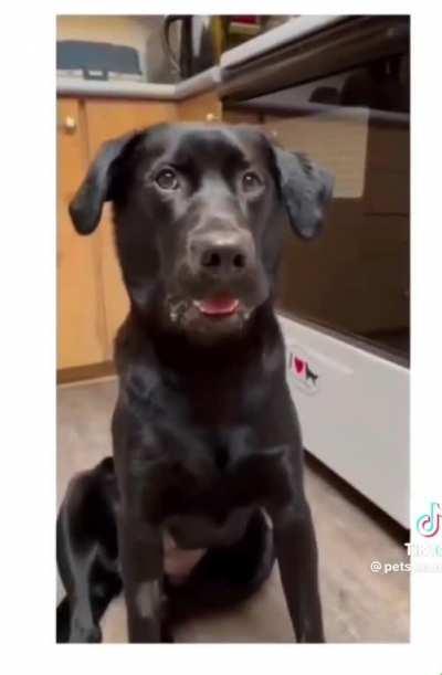 Trying not to be ungrateful