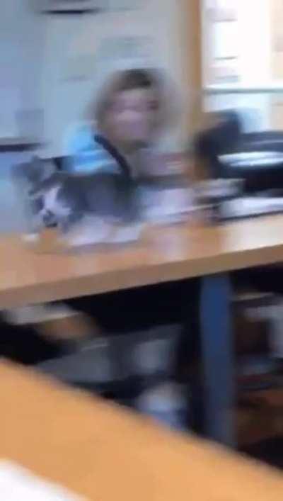 Part of the syllabus???