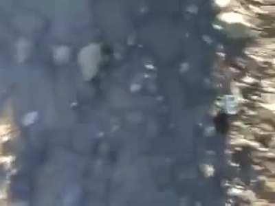 Note to self. Do not, and I stress NOT, try the Redneck Silencer