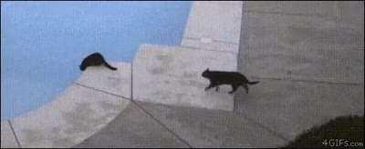 Startled while drinking