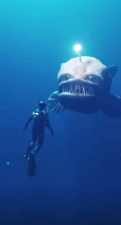 cursed_biggerfish