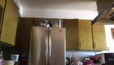 Kid smartly introduces her little sister to the YouTube audience