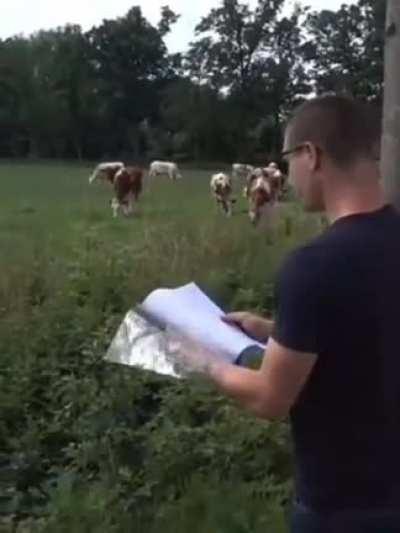 Wow... Thats Pure Talent