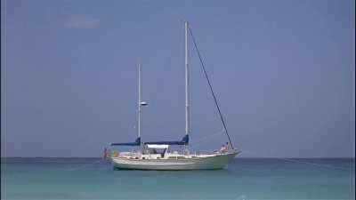 Wolfabelle is still on vacation she sent a video.  oh and  by the way she cut her hair. 