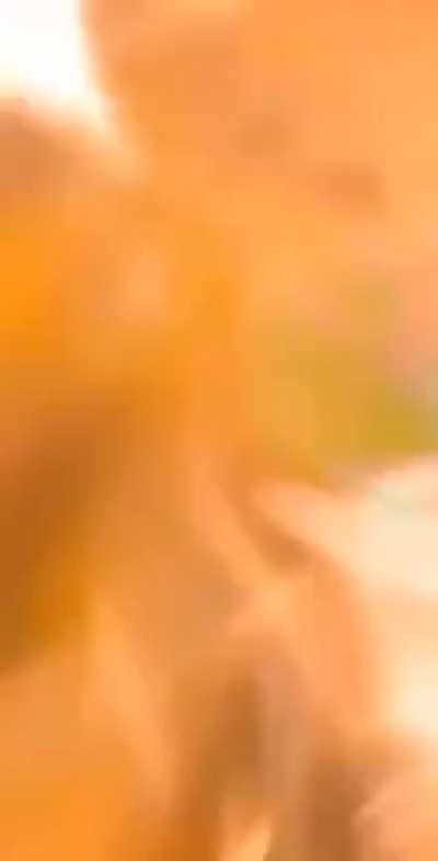 Your average anime intro