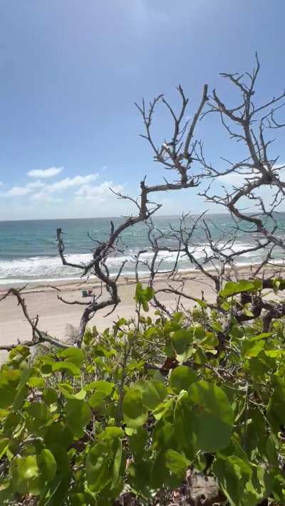 Who doesn’t like head with a view