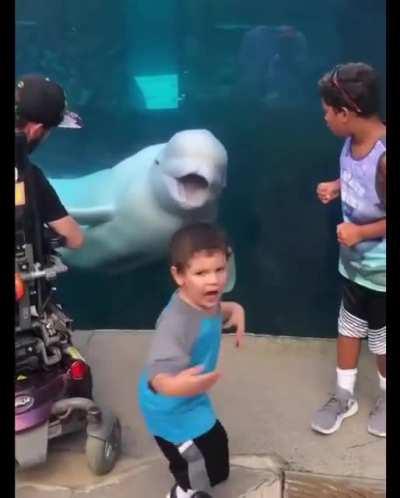 It’s the little things that make a caged life bearable