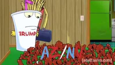 Basically the election right now