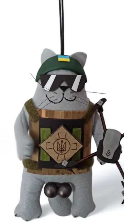 AFU combat cat