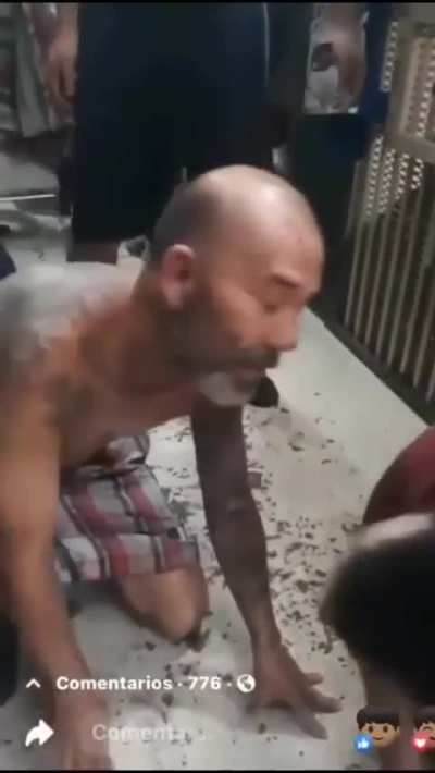 Los gatitos de la segunda