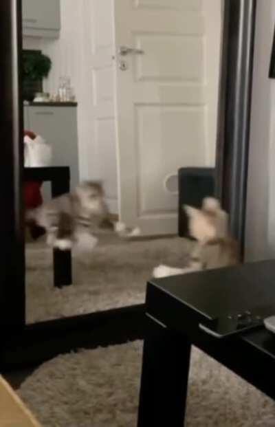 Jump around! Jump up, jump up and get down!