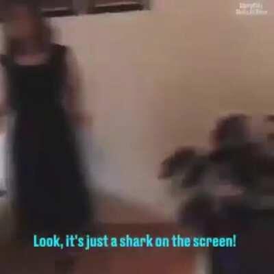 Violent grandma tries vr