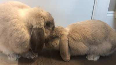 Hey brother...me next?