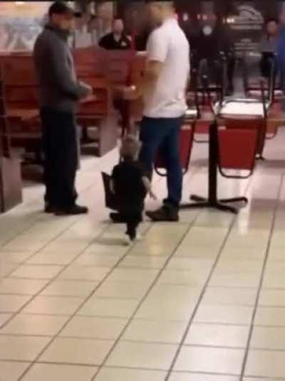 Not sure its impressive or idiotic