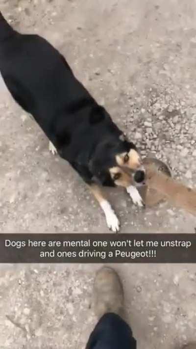 The definition of chaos