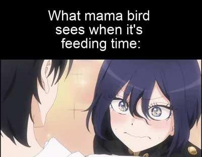 One at a time, one at a time!