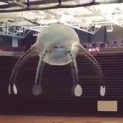 Definetly belongs here